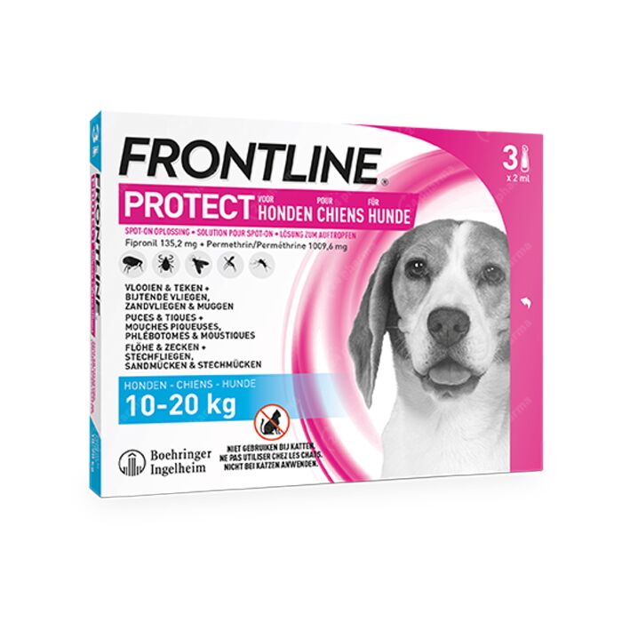 rechtop Hedendaags Fondsen Frontline Protect - Anti-Vlooien/ Teken Spot-On Oplossing Voor Honden -  10-20kg - 3 Pipetten online Bestellen / Kopen